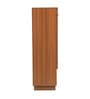Footra Shoe Rack In Walnut Finish