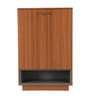 Footra Shoe Rack In Walnut Finish