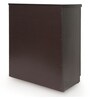Footworks Shoe Cabinet in Wenge Finish
