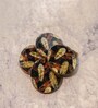 Forest Floor Acacia Wood S/4 Coaster with Enamel