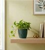 Green Ceramic 4-Inch Flower Pot