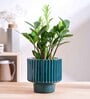Forms of love Teal Ceramic Planter