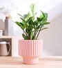 Forms of love Pink Ceramic Planter