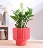 Forms of love Red Ceramic Planter