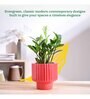 Forms of love Red Ceramic Planter