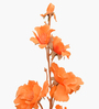 Set Of 2 Orange Plastic 2 Stems Forsythia Artificial Flowers