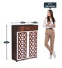Fort Mordern Shoe Cabinet In Brown Teak Finish
