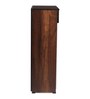 Fort Mordern Shoe Cabinet In Brown Teak Finish