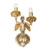 Transparent Metal Novelty Wall Light (Gold)