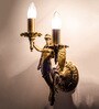 Transparent Metal Novelty Wall Light (Gold)