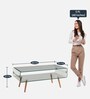 Fox Large Coffee Table in Transparent Glass