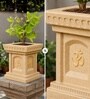 Beige German Polymer Tulsi Planter 12 Inch