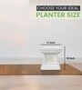 Marble White German Polymer Tulsi Planter 12 Inch