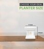 White German Polymer Tulsi Planter 12 Inch