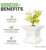 White German Polymer Tulsi Planter 12 Inch