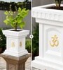 White German Polymer Tulsi Planter 12 Inch
