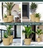 Beige 12 Inch German Polymer Round Plant Container
