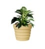 Beige 12 Inch German Polymer Round Plant Container