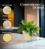 Beige 12 Inch German Polymer Round Plant Container
