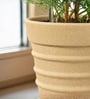 Beige 14 Inch German Polymer Round Plant Container