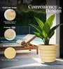 Beige 18 Inch German Polymer Round Plant Container