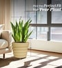 Beige 18 Inch German Polymer Round Plant Container