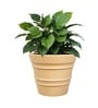 Beige 18 Inch German Polymer Round Plant Container