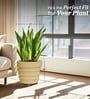 Beige 21 Inch German Polymer Round Plant Container