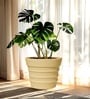 Beige 21 Inch German Polymer Round Plant Container