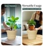 Beige 21 Inch German Polymer Round Plant Container