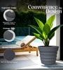 Grey 18 Inch German Polymer Round Plant Container