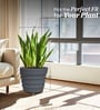 Grey 18 Inch German Polymer Round Plant Container