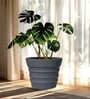 Grey 21 Inch German Polymer Round Plant Container
