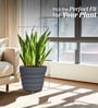 Grey 21 Inch German Polymer Round Plant Container