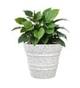 Marble White 18 Inch German Polymer Round Plant Container