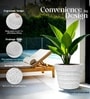 Marble White 18 Inch German Polymer Round Plant Container
