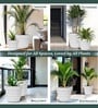 Marble White 12 Inch German Polymer Round Plant Container