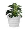 Marble White 12 Inch German Polymer Round Plant Container