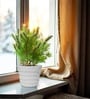 Marble White 12 Inch German Polymer Round Plant Container