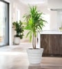 Marble White 14 Inch German Polymer Round Plant Container