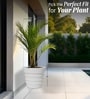 White 14 Inch German Polymer Round Plant Container
