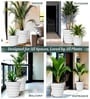 White 14 Inch German Polymer Round Plant Container