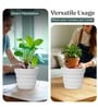 White 14 Inch German Polymer Round Plant Container