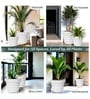 White 18 Inch German Polymer Round Plant Container