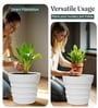 White 18 Inch German Polymer Round Plant Container