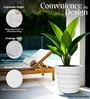 White 18 Inch German Polymer Round Plant Container
