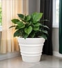 White 18 Inch German Polymer Round Plant Container