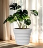 White 21 Inch German Polymer Round Plant Container