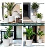 White 21 Inch German Polymer Round Plant Container