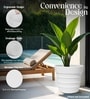 White 21 Inch German Polymer Round Plant Container